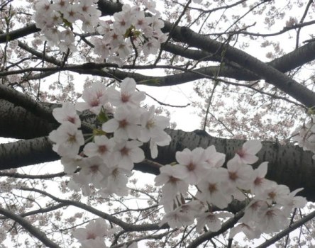 image20100405.jpg
